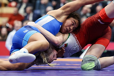 Турнир по вольной борьбе памяти Медведя прошел в Минске