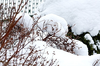 Снежный зимний день