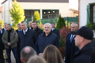 Лукашенко в Витебской области ознакомился с современным проектом в области мясного животноводства