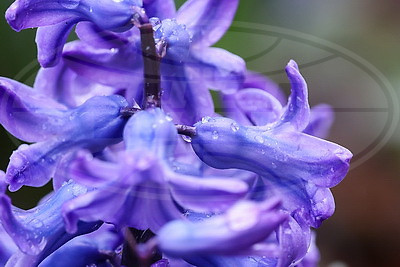 ФОТОХРОНИКА начинает новый информационный день