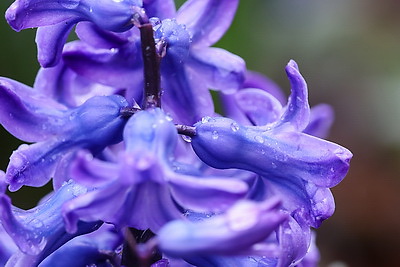 ФОТОХРОНИКА начинает новый информационный день