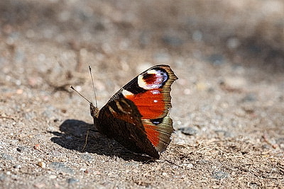 Солнечный весенний день в Минске