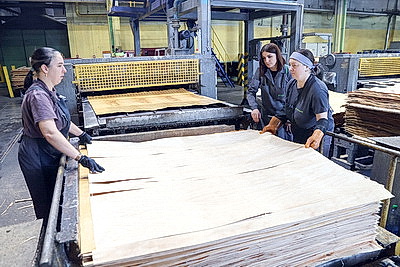 \"Речицадрев\": современное производство с женским лицом