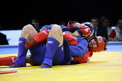 Международный турнир по самбо на призы Президента прошел в Минске