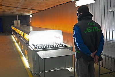 Пархомчик нацелил Брестский электроламповый завод на увеличение производства