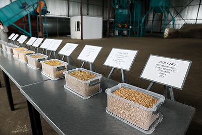 Кочанова ознакомилась с деятельностью ОАО \"Парохонское\"