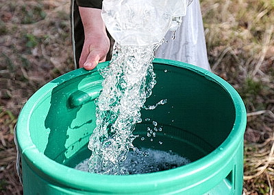 На квас и витаминные напитки. В Витебской области идет заготовка березового сока