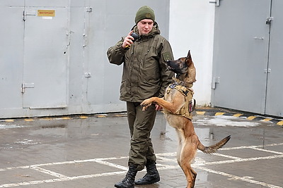 Здесь человек и собака понимают друг друга \"с первого взгляда\". Как несут службу кинологи в Бобруйском отделе Департамента охраны