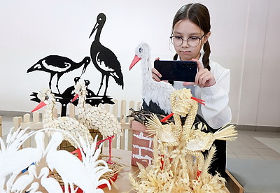 Около 100 аистов, сделанных учащимися и педагогами витебской СШ №46, украсили школьную экспозицию