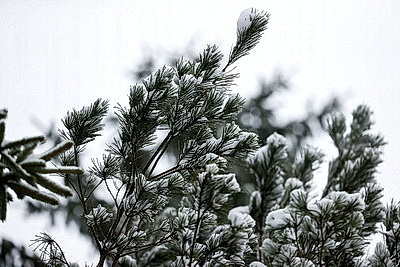 ФОТОХРОНИКА начинает новый информационный день