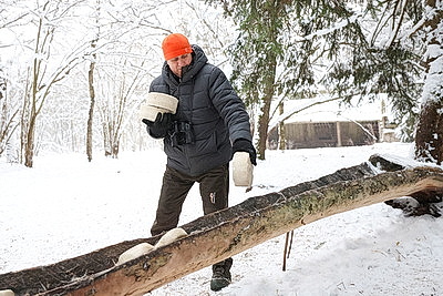 Зубры далеко не отходят, в лесу стоят и ждут. Как подкармливают животных зимой?