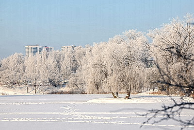 Солнечный январский день в Минске