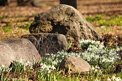 Солнечный весенний день в Минске