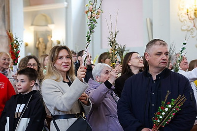 Католики отпраздновали Вход Господень в Иерусалим