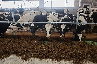 Сильная экономика, обороноспособность. На БЦЗ состоялась встреча с главой Минстройархитектуры