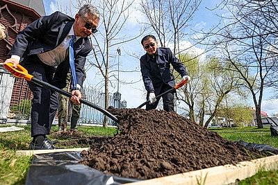 Аллея к 25-летию ШОС заложена в Минске