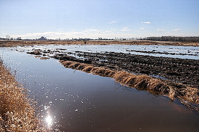 Ждать ли большой воды этой весной: МЧС о паводковой ситуации