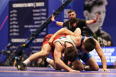 Турнир по вольной борьбе памяти Медведя прошел в Минске