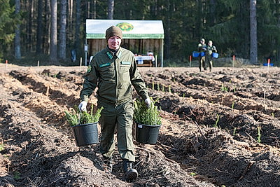 Члены Совета Республики приняли участие в акции \"Лес! Дабро! Парадак!\" в Столбцовском районе