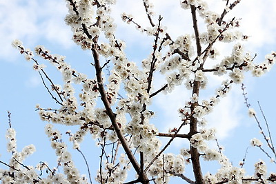 ФОТОХРОНИКА начинает новый информационный день