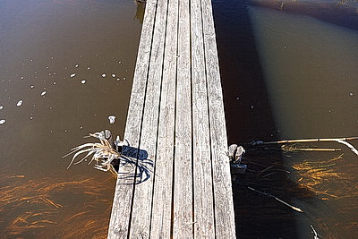 Ждать ли большой воды этой весной: МЧС о паводковой ситуации