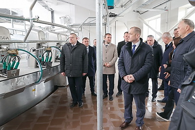 Новую ферму на тысячу голов дойного стада открыли в Ветковском районе
