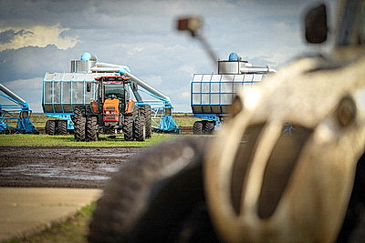 Период трансформации. Как развивается торфяная отрасль в Беларуси