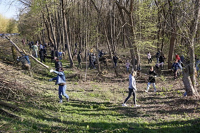 Республиканский субботник: брестчане трудились на территории Брестской крепости