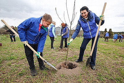 \"Символ мая, Победы, добра и плодородия\". В Беларуси проходит акция \"Яблоневый сад\"
