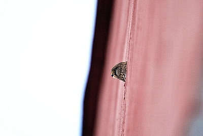 ФОТОХРОНИКА начинает новый информационный день