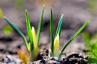 ФОТОХРОНИКА начинает новый информационный день