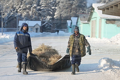 \"Счастливы работать и зарабатывать\". Как африканские парни трудятся на ферме в Лидском районе