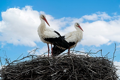 ФОТОХРОНИКА начинает новый информационный день