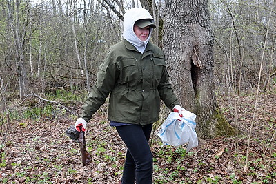 Благоустройство прибрежной зоны озера Полонское прошло в Витебском районе