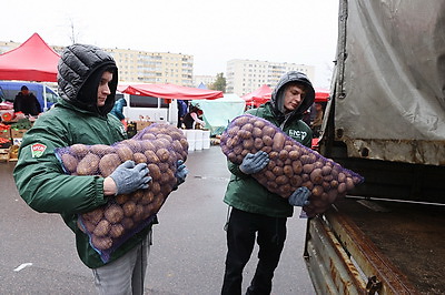 \"Добро старшим\". Волонтеры помогают пожилым доставить покупки с ярмарок