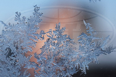 ФОТОХРОНИКА начинает новый информационный день