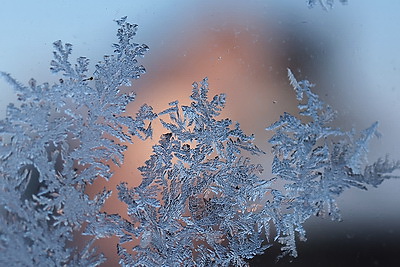 ФОТОХРОНИКА начинает новый информационный день