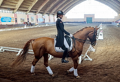 Олимпийские дни молодежи по выездке стартовали в Гомеле