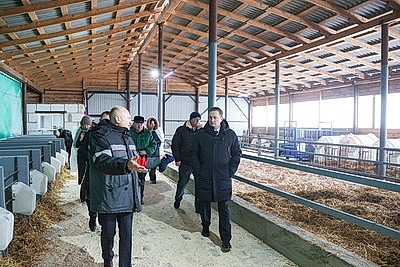 Как содержат телят в МТК \"Лошница\"? Хозяйство проверил премьер-министр