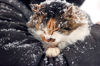 ФОТОХРОНИКА начинает новый информационный день