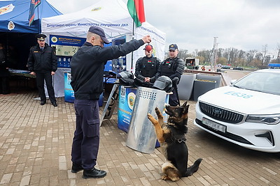 Узнать о службе и поговорить с профессионалами. Первый молодежный правоохранительный форум прошел в Могилеве