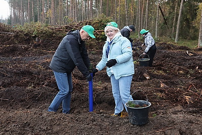 Депутаты Палаты представителей приняли участие в акции \"Дай лесу новае жыццё!\"