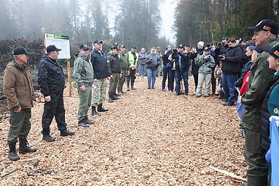 К акции \"Дай лесу новае жыццё!\" в Вороновском районе присоединились около 250 человек
