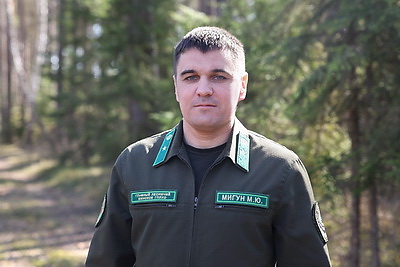 Что делают в Минской области для снижения количества ДТП с дикими животными