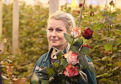 Минский парниково-тепличный комбинат к 8 Марта вырастит более 200 тыс. тюльпанов и около 60 тыс. роз