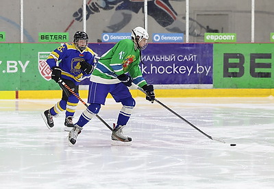 В Витебске завершился областной турнир по хоккею \"Золотая шайба\"