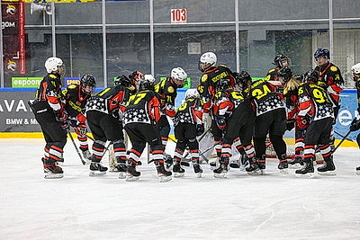 В Гомеле стартовал областной этап соревнований \"Золотая шайба\" в старшей группе