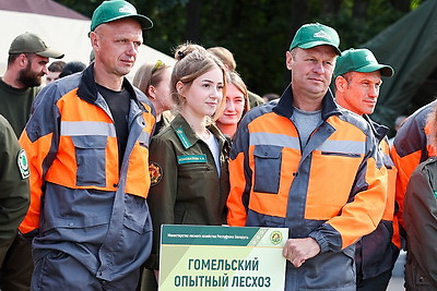 Лучших лесорубов Гомельщины определили на областных соревнованиях