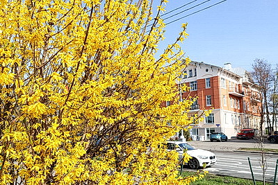 ФОТОХРОНИКА начинает новый информационный день