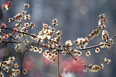 Солнечный весенний день в Минске